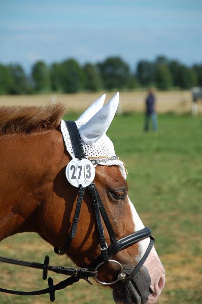 Turnier 2008 (116).JPG